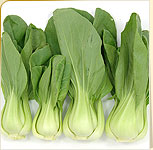 Bok Choy