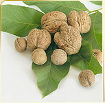 Walnuts